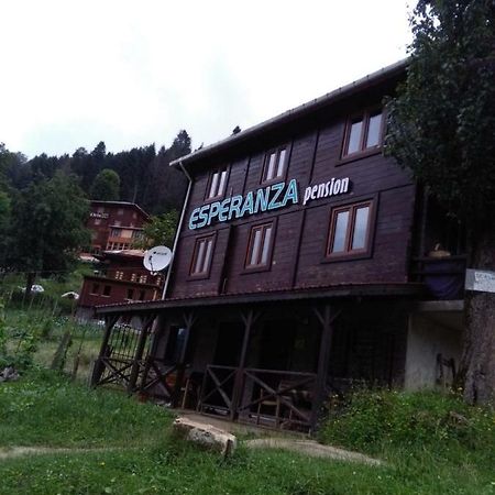 Esperanza Apart & Pension Guest House Ayder Yaylasi Exterior foto