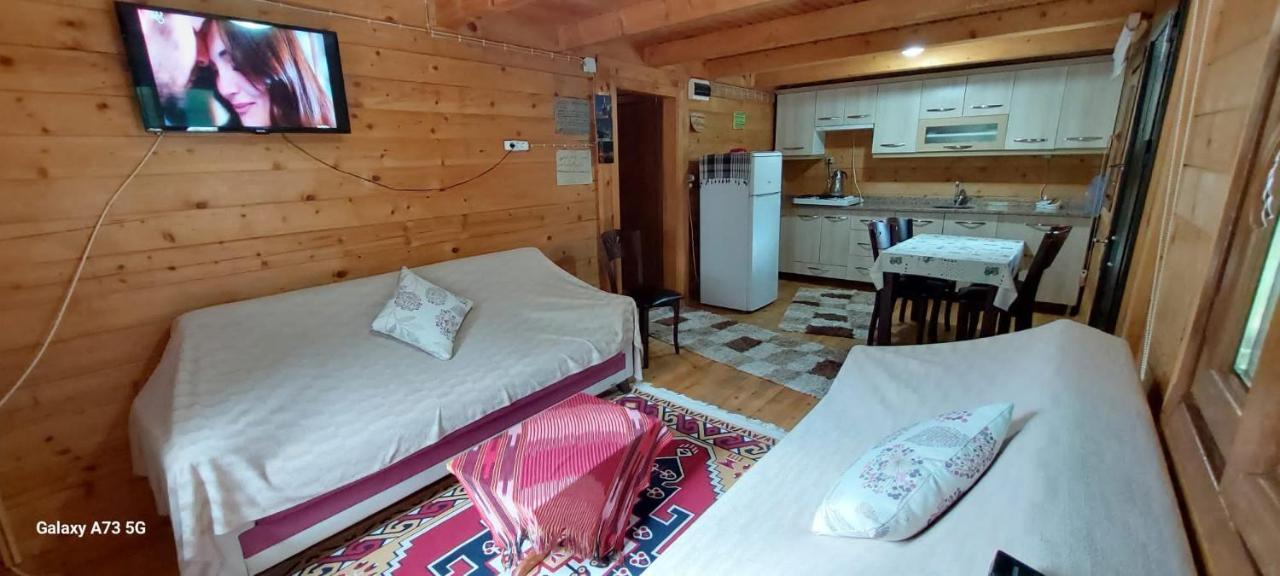 Esperanza Apart & Pension Guest House Ayder Yaylasi Exterior foto