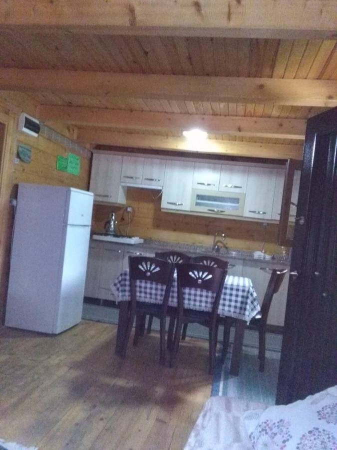 Esperanza Apart & Pension Guest House Ayder Yaylasi Exterior foto